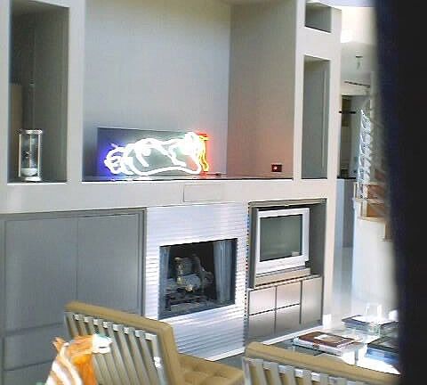 enternment wall with fire place
