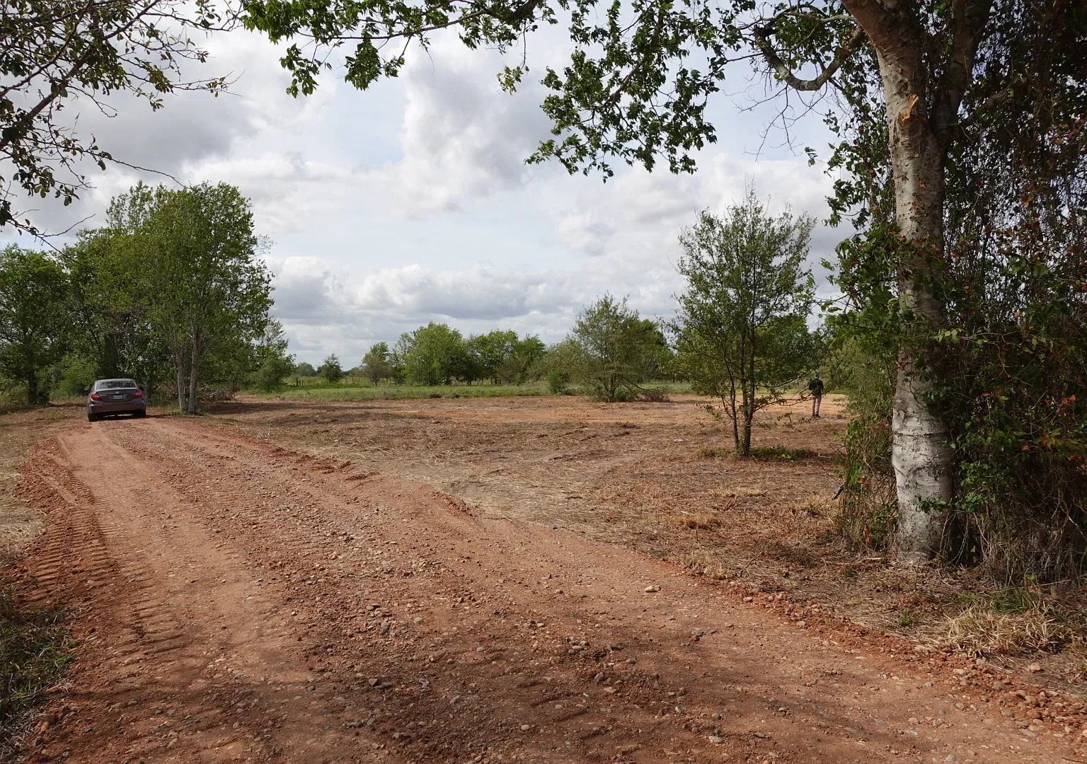 School Rd, Bellville — Photo 3