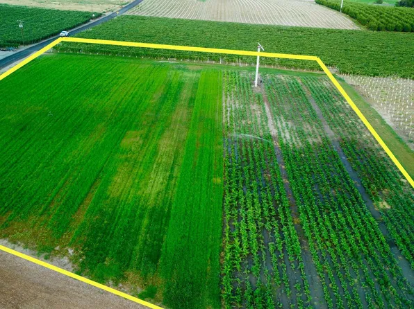 Nka, Zillah, WA 98953