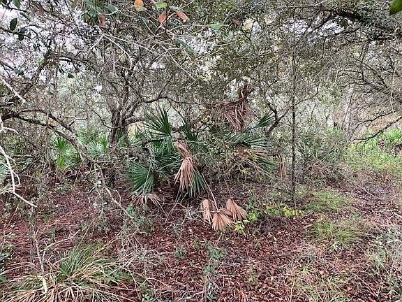 2nd image of 2966 Indian Pipes Trl