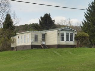 41 Triverfield Rd, Franklin, NY 13775