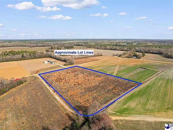 4th image of Acacia Dr