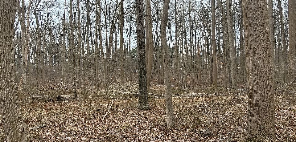 2nd image of 143 Michael Dr