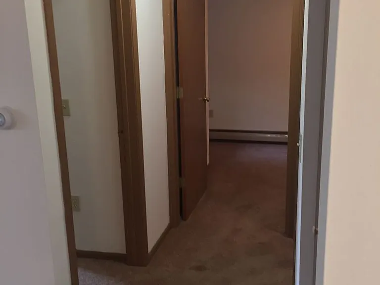 404 E Wilson St — Photo 5
