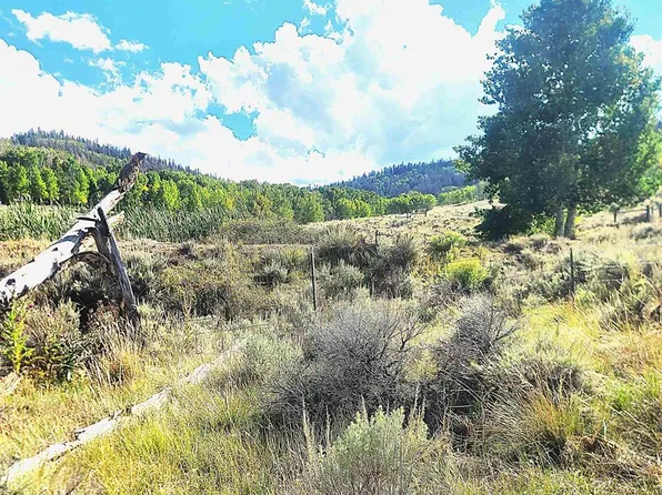 273 Monarch Road, Powderhorn, CO 81243