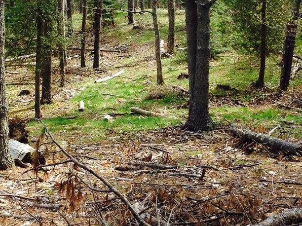 0 Peterson Lane, Brunswick, ME 04011