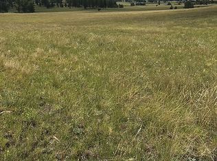 Daisy Ln, Guffey, CO 80820