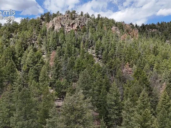 4943 County Road 11, Florissant, CO 80816