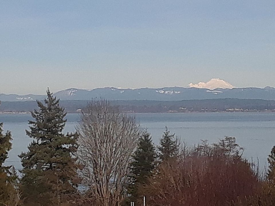 Mt Baker