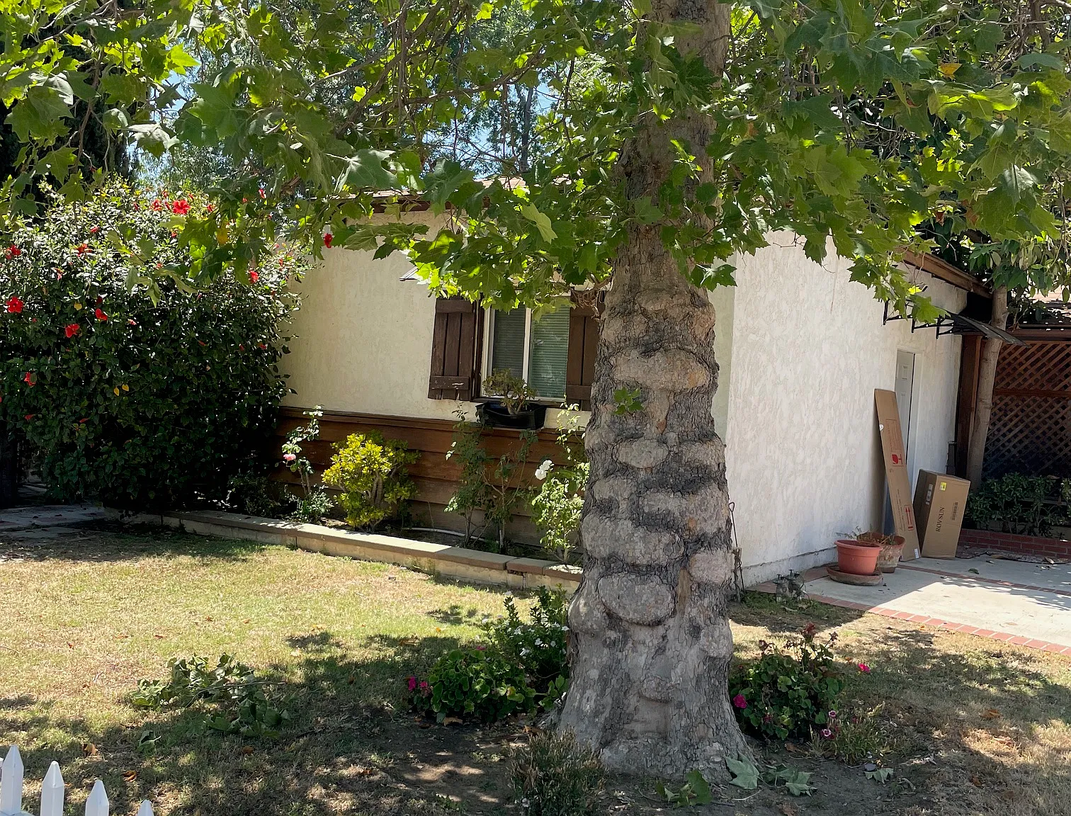 1 bed, 400 sqft, $1,450 — Photo 3