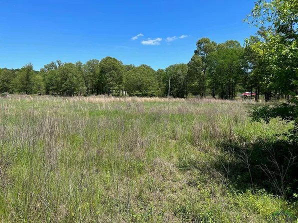 4069 Fm 451, Waskom, TX 75692
