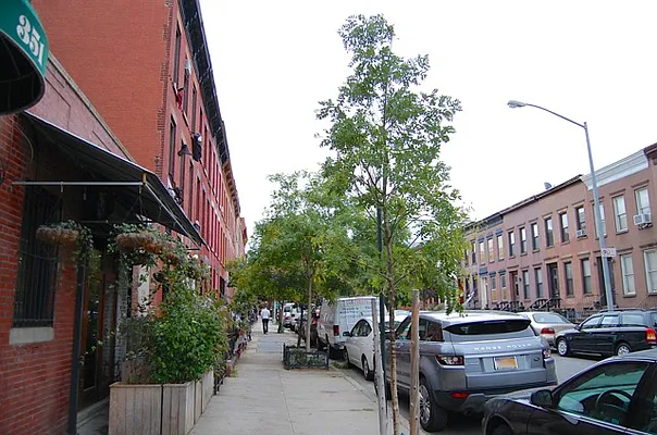 Rented by Resimplefy | media 18