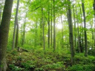 31 Eight 3 & 3c Cub Creek Rd, Roseland, VA 22967