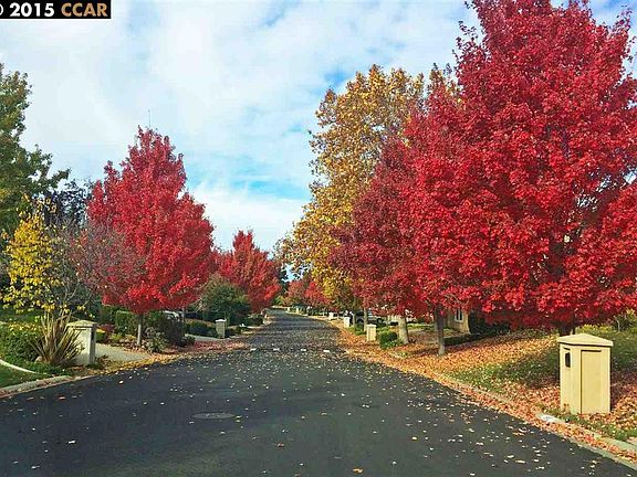 Mature landscaping. Charming street with friendly neighbors