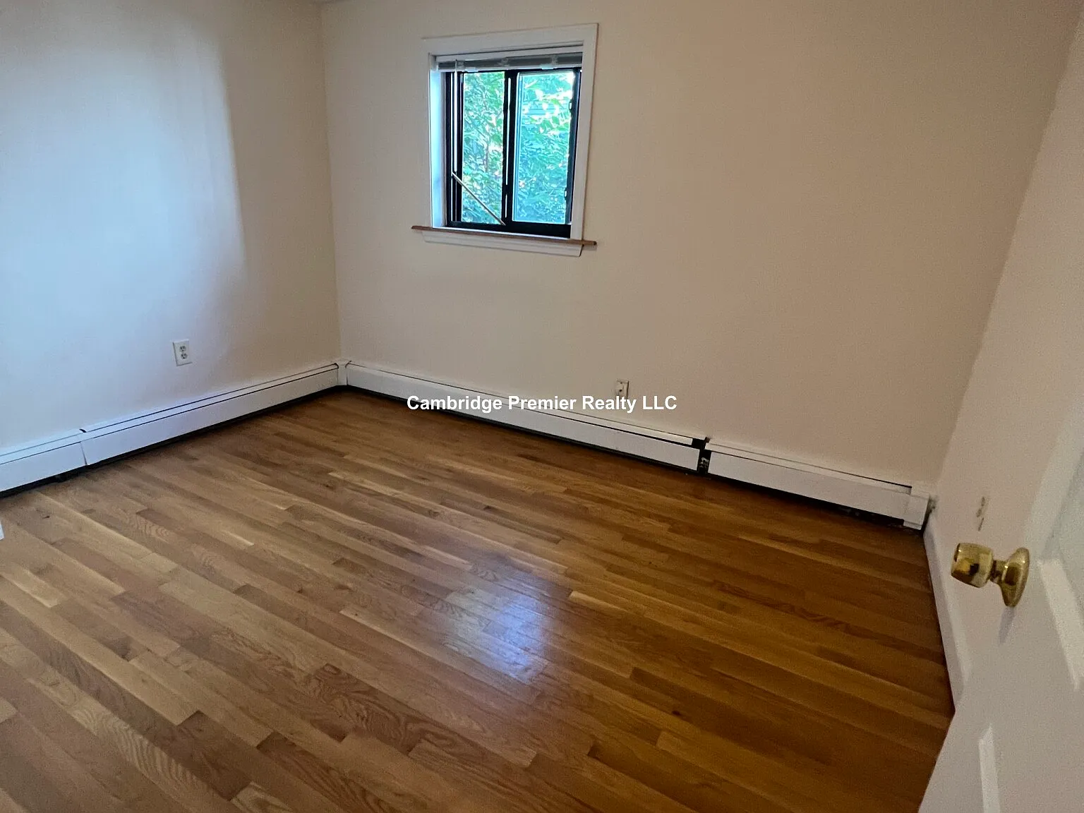 2 bed, 1.0 bath, $2,650 — Photo 3