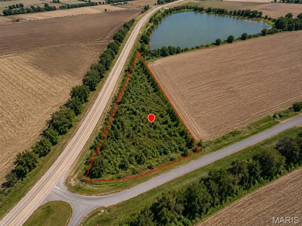 0 Off Old Hwy #60, Dudley, MO 63936