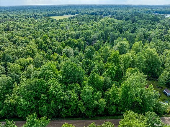 2nd image of 47 Maplegrove Rd