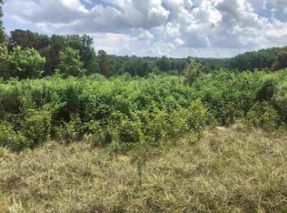 1332 Blue Grass Ct, Demorest, GA 30535