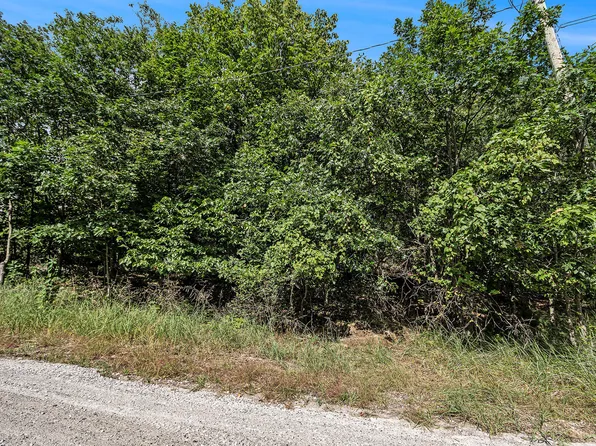 S Ottawa Trl, Shelby, MI 49455