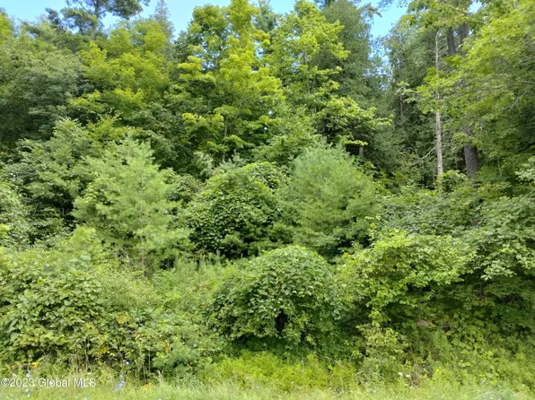 L1.3 County Route 1, Putnam Station, NY 12861