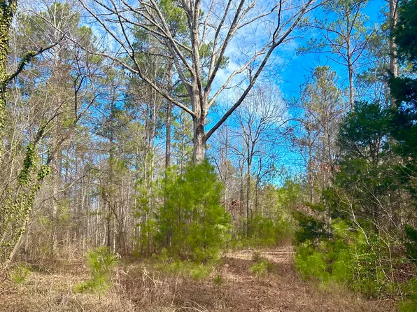 Highway 49 S, Dadeville, AL 36853