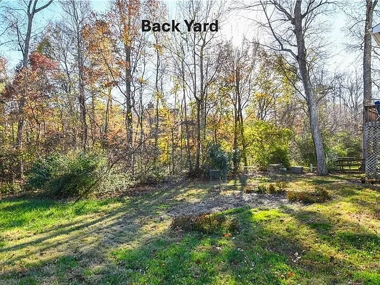 BACK YARD