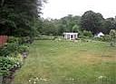 Large backyard