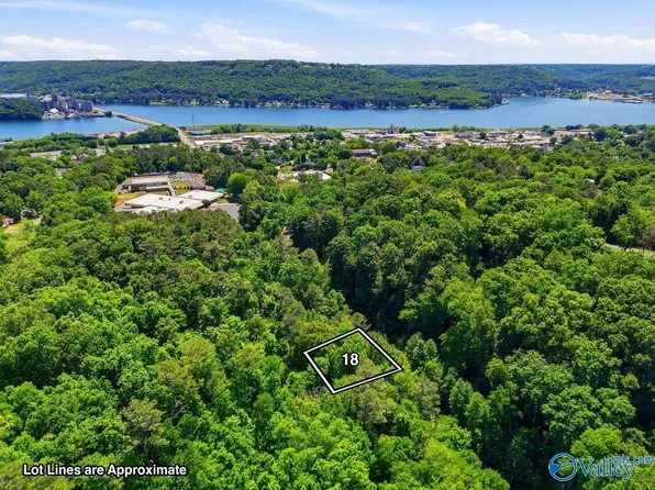 LOT 18 Lusk St, Guntersville, AL 35976