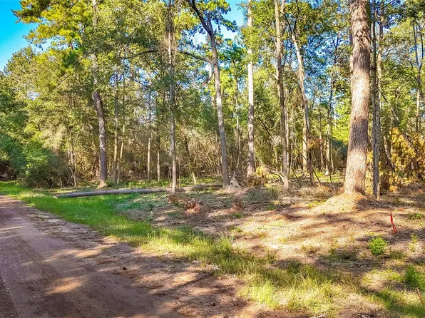 13 & 14 Summer Pl, Livingston, TX 77351