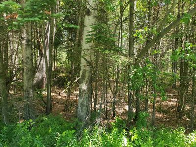 01-88 Route 242, North Troy, VT, 05859