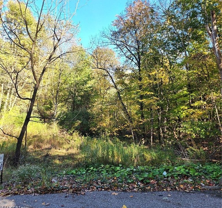 1st image of Blueberry Hill Dr