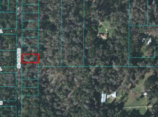 0 SE 44th Ave, Belleview, FL 34420