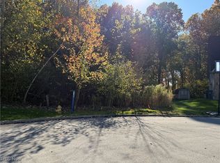1458 Birch Run Dr NE, Warren, OH