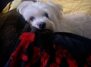 2571 Bristol Dr, Bellmore, NY 11710