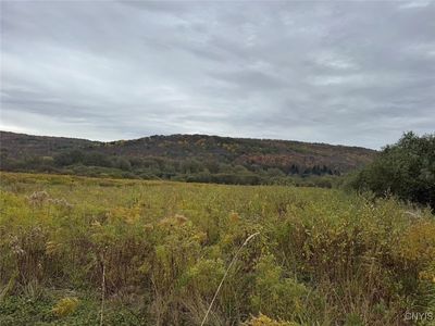 Route 446, Hinsdale, NY, 14743