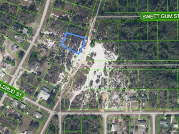 314 Bottlebrush Ave #12, Lake Placid, FL 33852