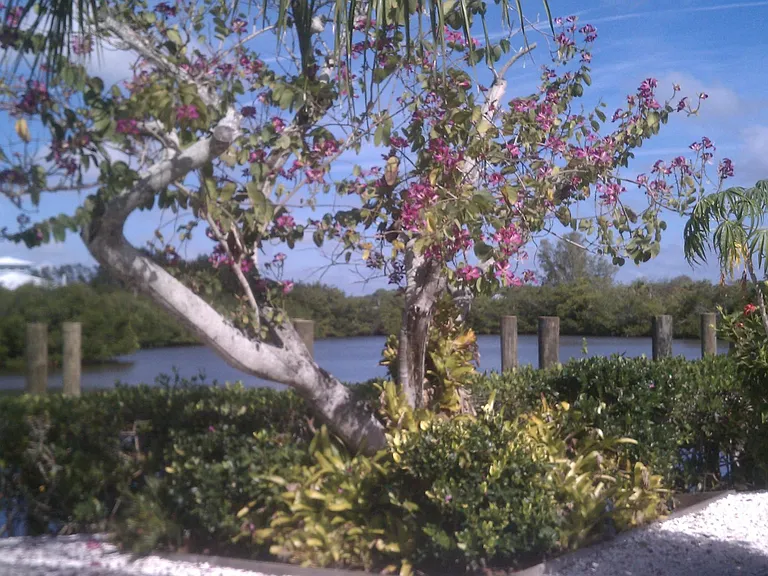 1 Manor Ct #B — Photo 5