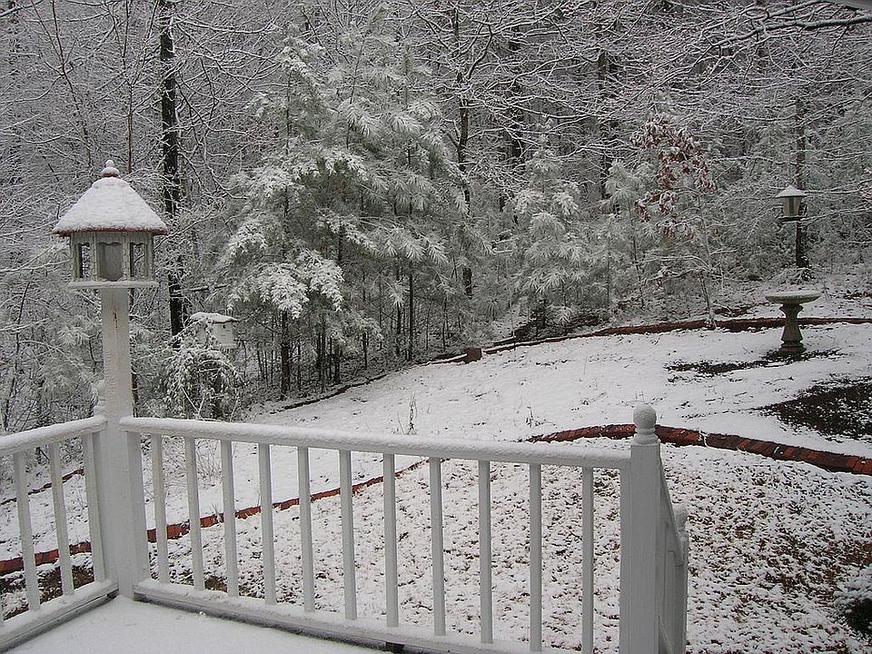 Back yard view from deck