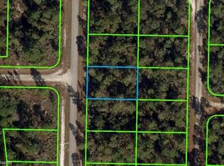 1137 Western Blvd, Lake Placid, FL 33852
