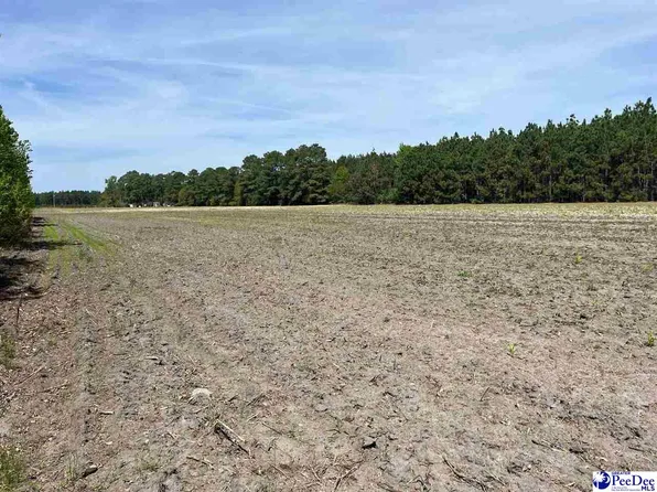 Mta 4 Heustess Rd, Little Rock, SC 29567