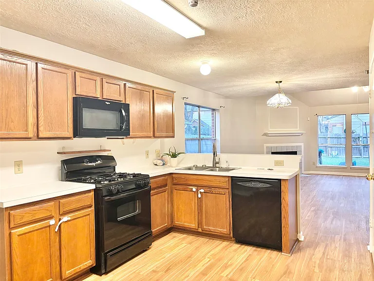 15919 Blue Mesa Ridge Dr — Photo 14