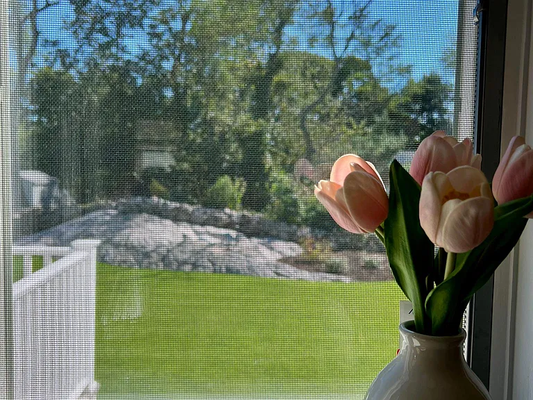 Summer St — Photo 18