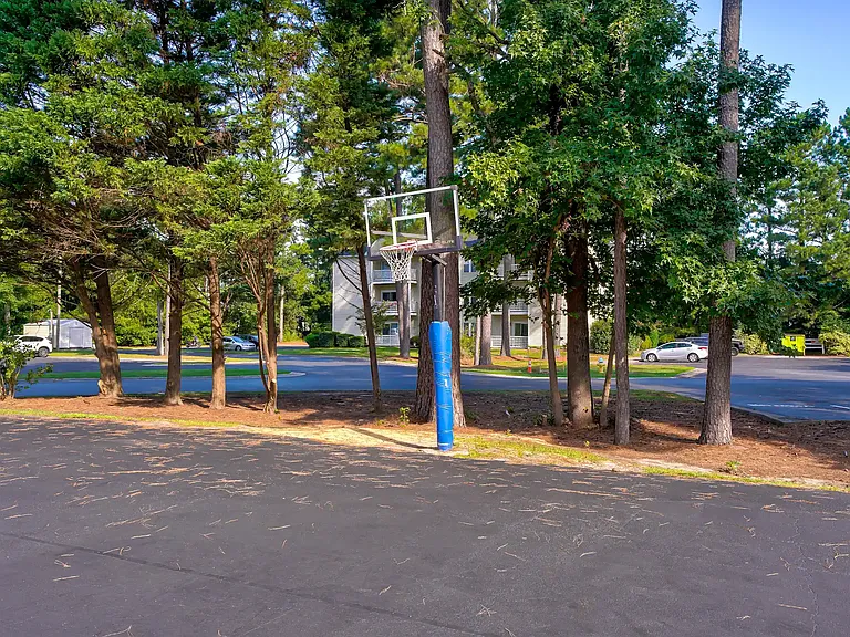Bluff Ridge — Photo 19