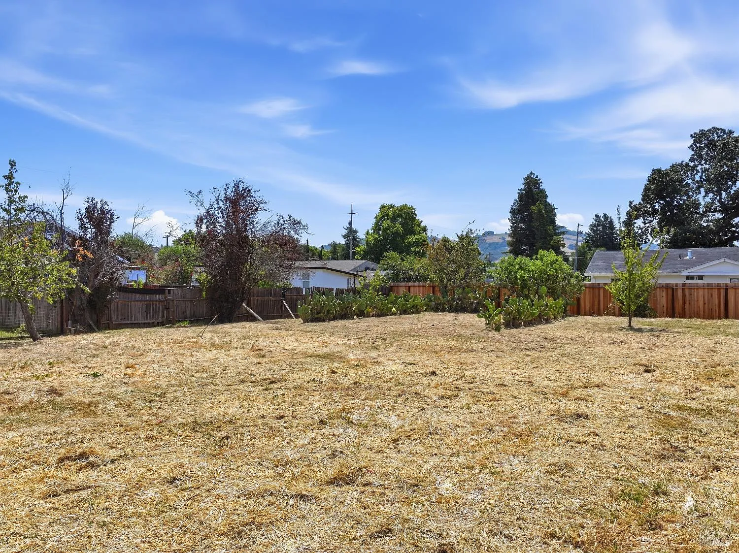 1306 Grand Avenue - Photo 4