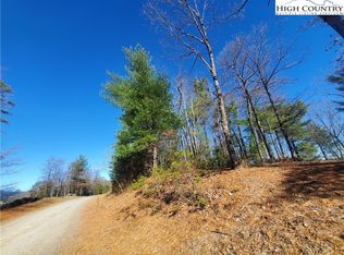Tbd Staghorn Rd, Purlear, NC 28665