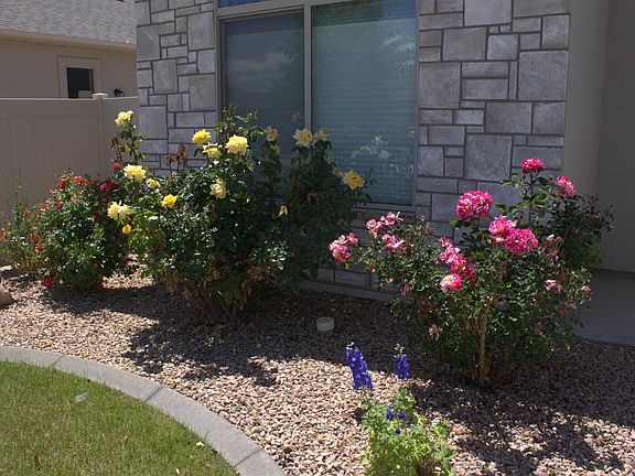 3rd image of 685 Strathearn Dr