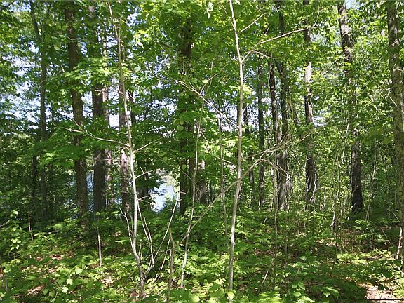 5th image of Lot 1S Murry Lake Road