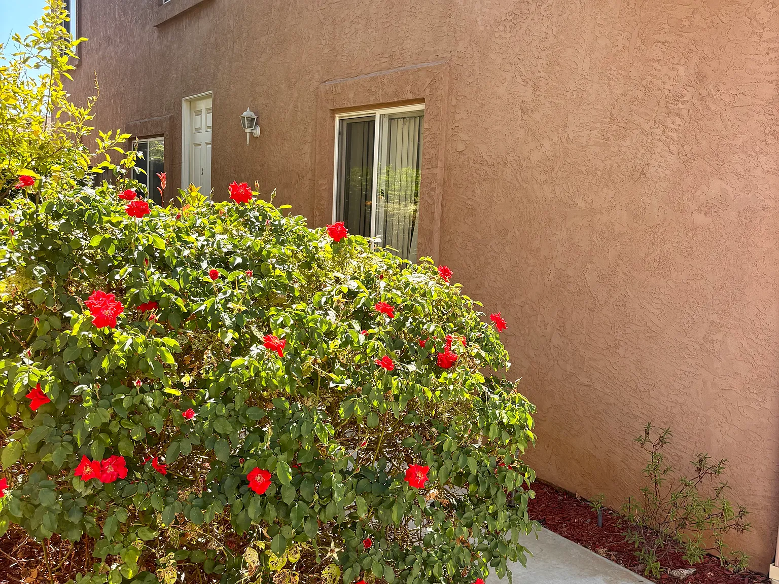 547 Hart Dr — Photo 4