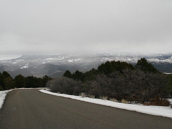 2nd image of Tbd Pine Dr