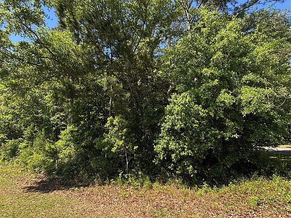 3rd image of 0 Canoe Rd